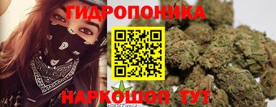 jwh Славгород