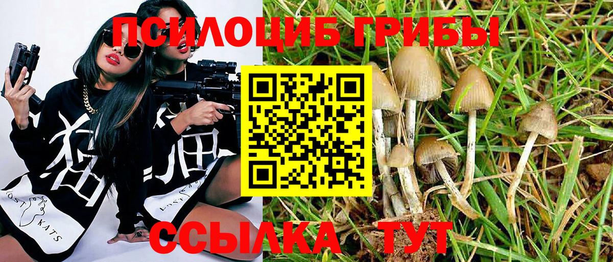 Псилоцибиновые грибы Psilocybine cubensis  Вход с VPN  купить закладку  Сатка 